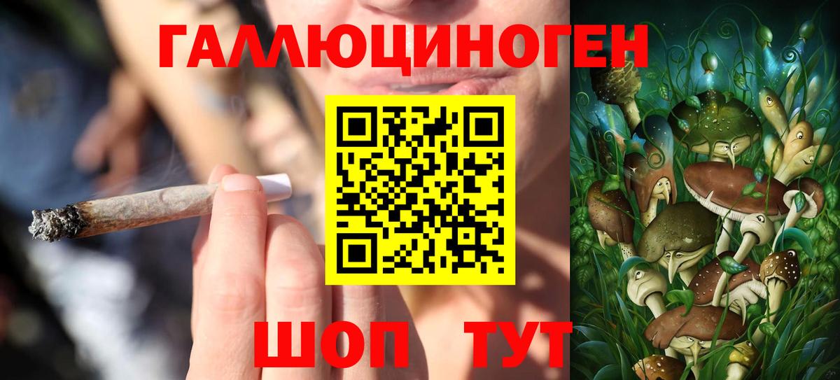 Галлюциногенные грибы Psilocybine cubensis Нягань