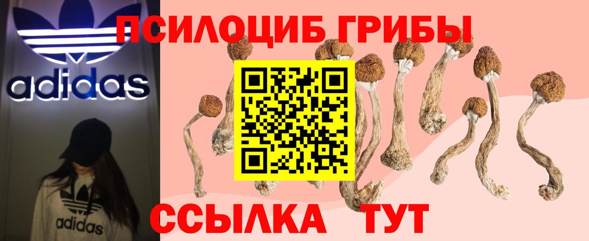 как найти   Псилоцибиновые грибы ЛСД  Вход с VPN  Нягань 